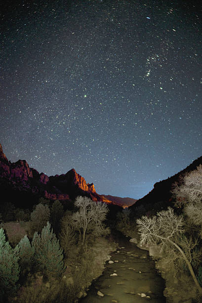 Stars over Zion NP, Utah stock photo