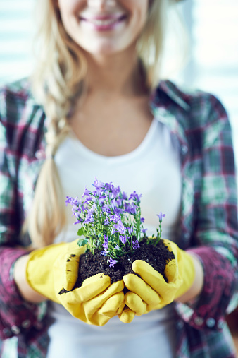 Starting Flower Garden Stock Photo Download Image Now Istock