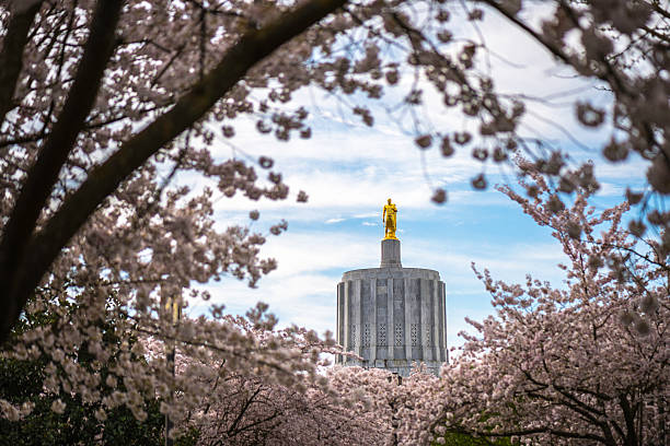 State Capital Building Salem Oregon State Capital Building in spring blossom oregon state capitol stock pictures, royalty-free photos & images