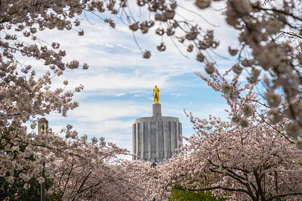 State Capital Building Oregon State Capital Building in spring blossom oregon state capitol stock pictures, royalty-free photos & images