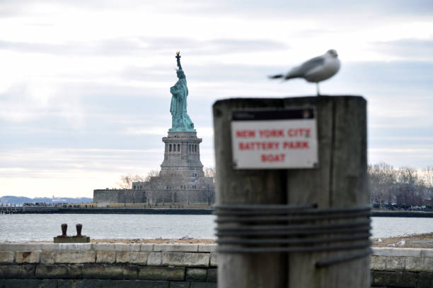 Statue of Liberty Vogel stock photo