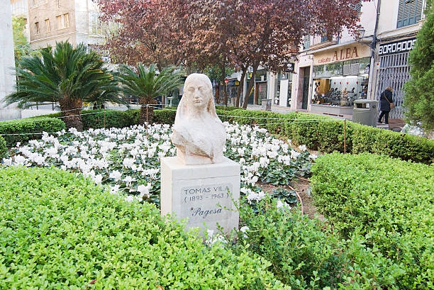 Statue of Thomas Vila Palma de Mallorca, Balearic islands, Spain - December 13, 2015: Statue of Thomas Vila (1893-1963) in flowerbed with white cyclamen flowers and green bushes in December. thomas wells stock pictures, royalty-free photos & images
