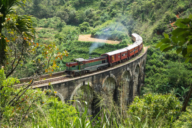 Steam train in the jungle, Ella, Sri Lanka stock photo