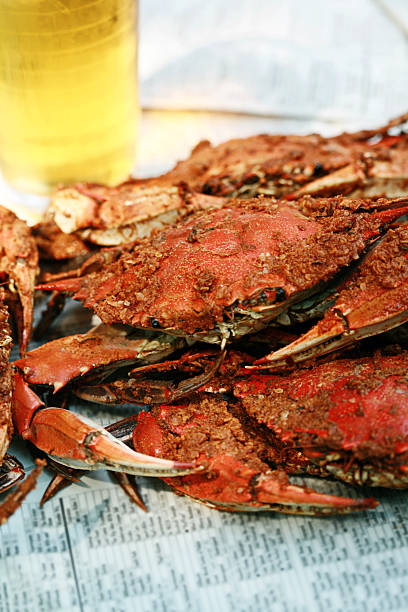 Steamed Crabs steamed crabs served Baltimore style, on newspaper covered in lots of seasoning with a cold beer blue crab stock pictures, royalty-free photos & images