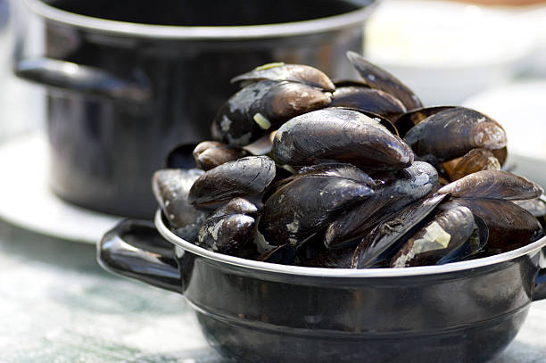 steamed mussels - zeeland stockfoto's en -beelden