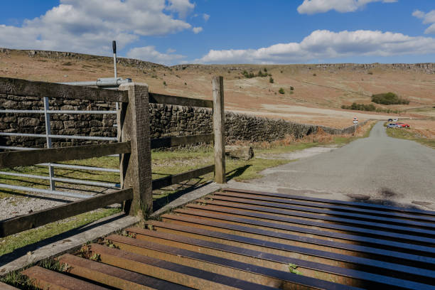 Steel cattle grid and fencing Steel cattle grid and fencing on a n English countryside road avoid to a cross for cattle cattle grid stock pictures, royalty-free photos & images