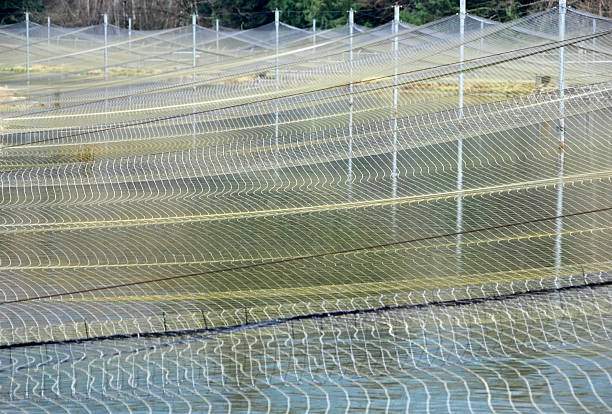 Steelhead trout rearing pond and hatchery Steelhead trout rearing pond and hatchery fish hatchery stock pictures, royalty-free photos & images