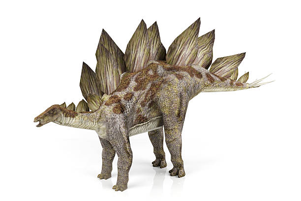 Dinosaur With Flippers Stock Photos, Pictures & Royalty-Free Images - iStock