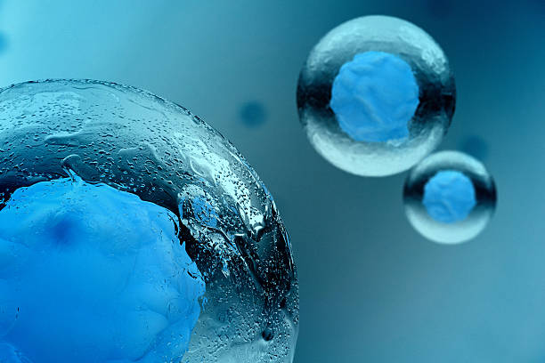 stem cell - cel stockfoto's en -beelden