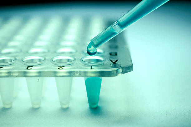 Stem Cell Research Pipette stock photo