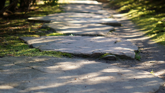 Ground level view of a stepping stone path in a garden