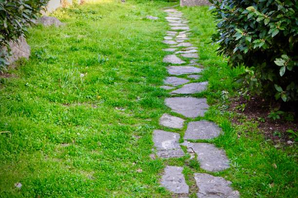 stepping stones