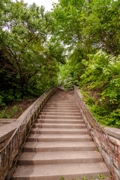 pasos en el bosque en highland park, ubicado en pittsburgh, pensilvania, ee. uu. - highland park fotografías e imágenes de stock
