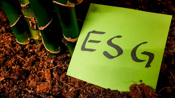 ESG sticky note in soil among plant roots Sticky note with the acronym for "Environmental, Social and Governance" in the soil near roots social responsibility stock pictures, royalty-free photos & images
