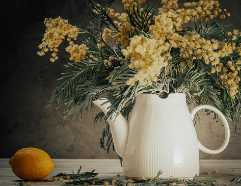 still life - yellow mimosa, white jug and lemon, on a gray background