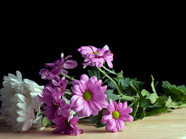Still Life Flowers On Wood stock photo