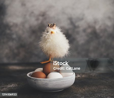 istock Still life image of fluffy chicken with eggs in bowl 1314106933