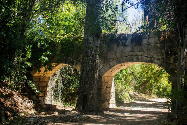 Stone Aqueduct stock photo