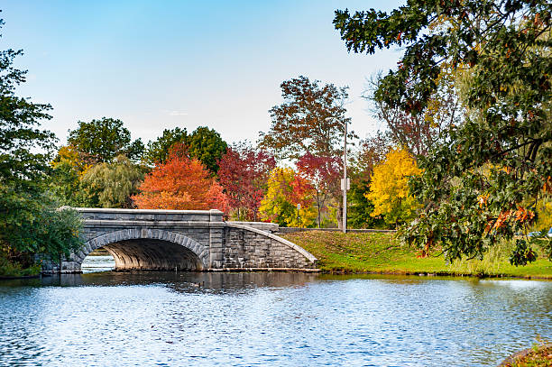 Stone bridge spanning pond Stone bridge crossing lake in Roger Williams Park in Providence, Rhode Island rhode island stock pictures, royalty-free photos & images