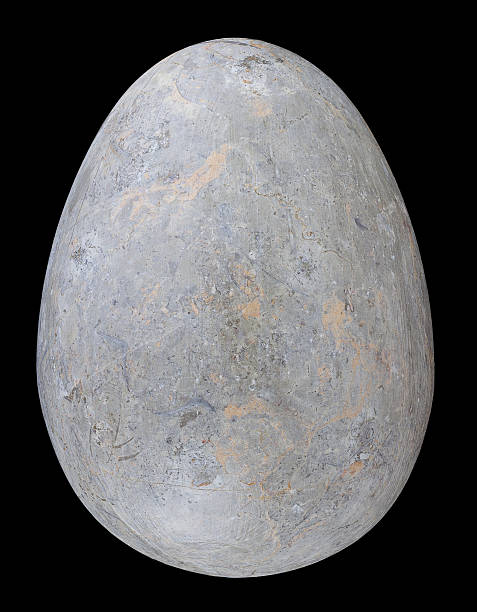 Stone Egg stock photo