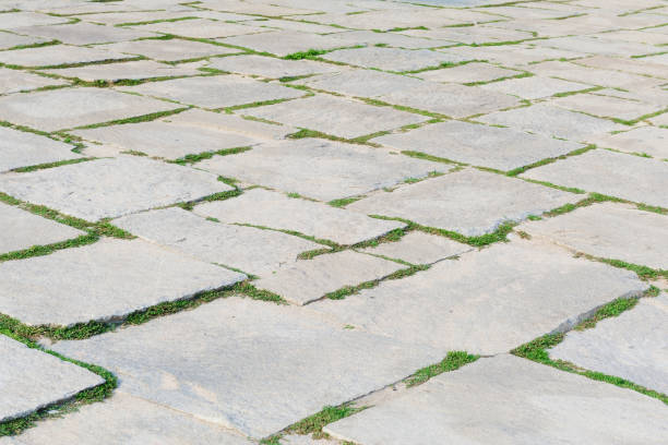 Stone footpath pattern with green grass in perspective background for interior design. stock photo