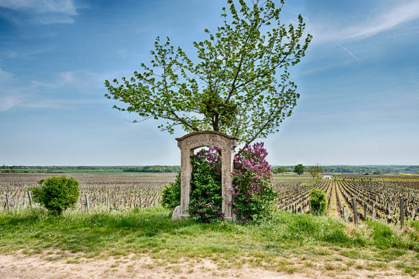 Stone Gate Near The Clos des Ormes Vineyard stock photo