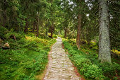istock Stone path trail in Giant Mountains. 1340197016