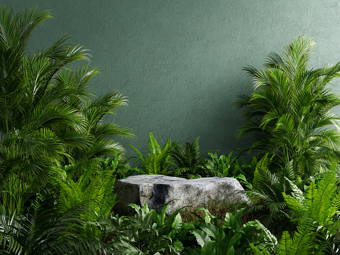 Stone platform pedestal in tropical forest for product presentation and green forest.3d rendering