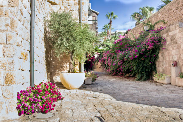 Stone streets of the ancient city of Jaffa, Israel stock photo