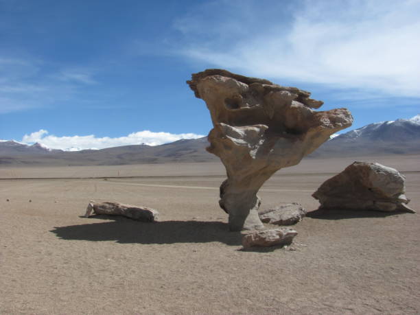 Stone tree (Arbol de Piedra) on the Altiplano, Bolivia. stock photo
