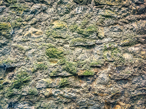 Texture with gray rock and moss
