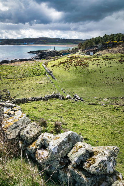Stone Wall in a Field Stone wall in a green field beside the ocean.  this picture was taken at Culdaf in Donegal Ireland inishowen peninsula stock pictures, royalty-free photos & images