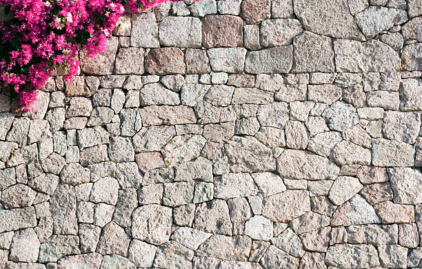 Stone Wall with Bougainvillea Flowers Blooming at Top Left Corner Horizontal view of a bright magenta bougainvillea hanging over the top left corner of a tightly stacked, dry-laid, hand-crafted stone wall. A natural texture pattern background in Mexico.  bougainvillea photos stock pictures, royalty-free photos & images