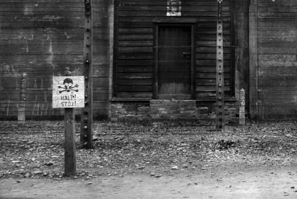 stop sign next to the wire fence at the german concentration camp. black and white edition. - prision imagens e fotografias de stock