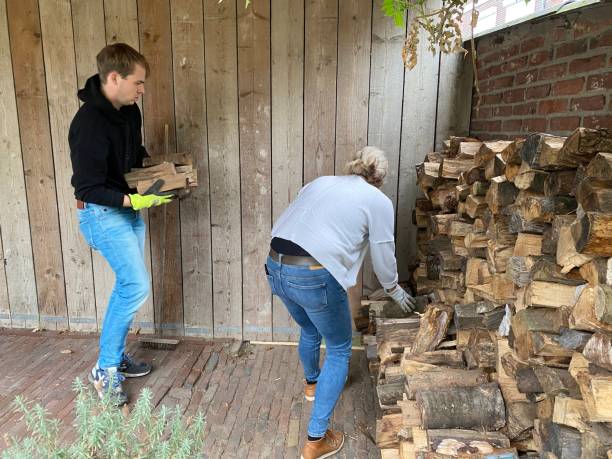 store firewood for the winter - idosos aquecedor imagens e fotografias de stock