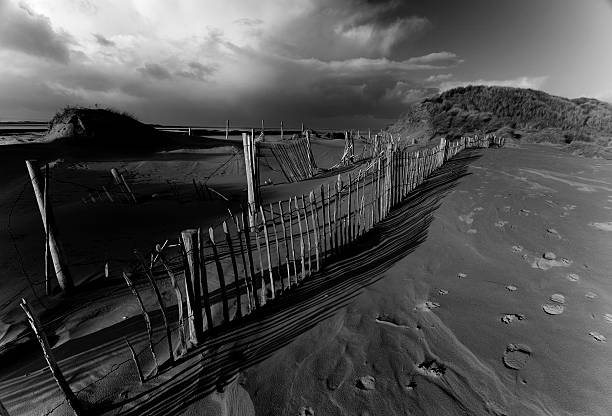 Storm a coming Black and white photo of Sand Dunes with Foot prints a paw prints in the sand.Stormy sky over crow point in Devon. braunton stock pictures, royalty-free photos & images