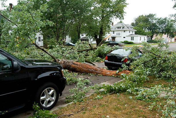 car insurance cover hurricane damage