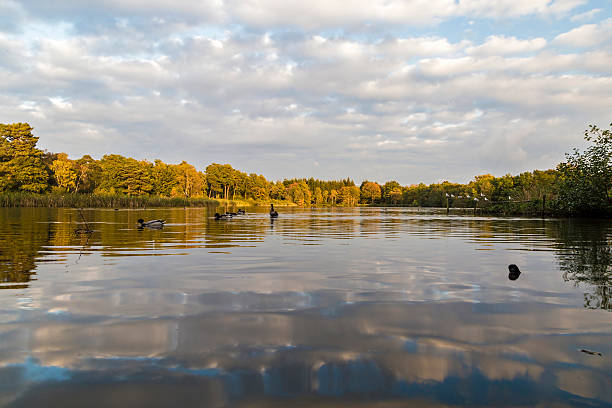 Stover lake reflection stock photo