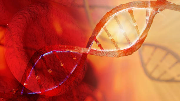 DNA strand and red Blood Cells stock photo