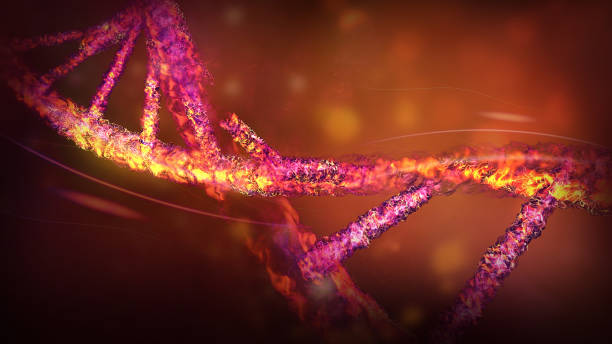 DNA strand structure destruction close-up, 3D render. stock photo
