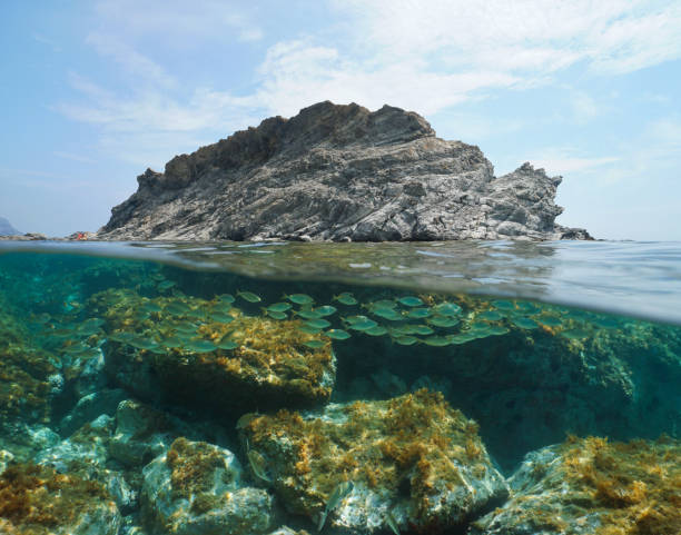 Strange rocky island with fish underwater stock photo