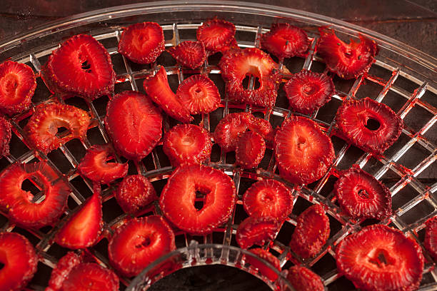 Strawberries and drier concept stock photo