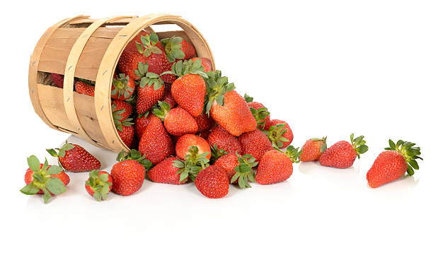 Strawberries in a Tipped Basket stock photo