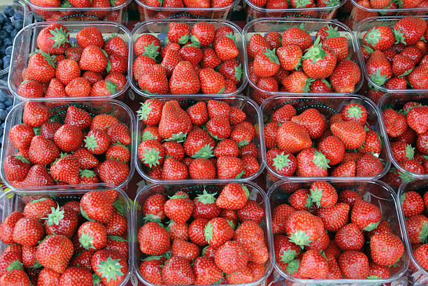 Strawberries in Boxes stock photo