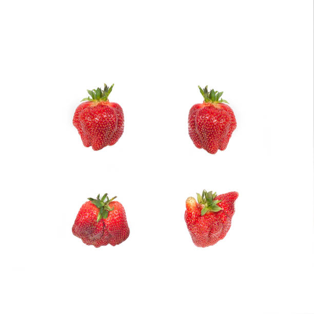 Strawberries isolated on white.Ugliness. Pattern with red organic strawberries isolated on white. Natural ugly strawberries.Flat lay.Ugly food. imperfection stock pictures, royalty-free photos & images