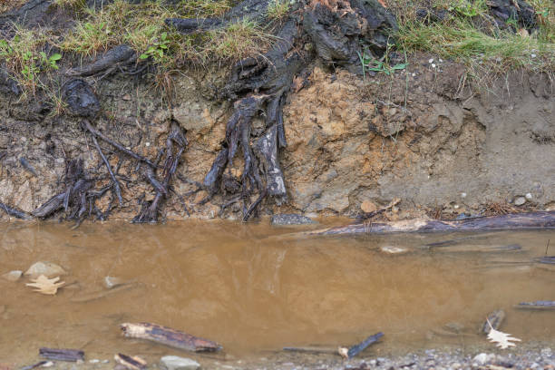 stream erosion - soil erosion bildbanksfoton och bilder