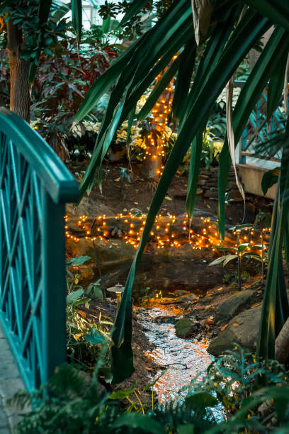 Stream in the tropical garden lit up during the holidays stock photo