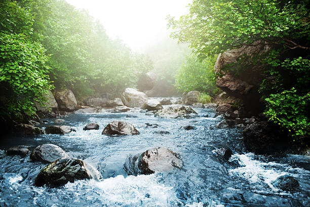 Stream Stream in the forest spring flowing water stock pictures, royalty-free photos & images