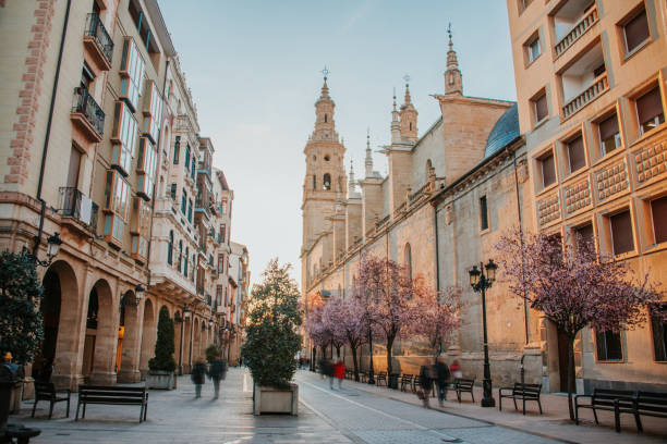 Street in Logroño, Spain A street in Logroño, Spain. Co-cathedral. pilgrims monument stock pictures, royalty-free photos & images