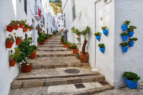 Street in Pueblos blancos in Spain. Village called Frigiliana. Typical aisle full of flower pots between white houses in Andalusia, Spain. stock photo